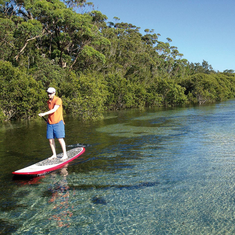 Narrawallee Eco Tour on a SUP